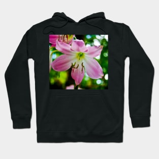 kli pink Hoodie